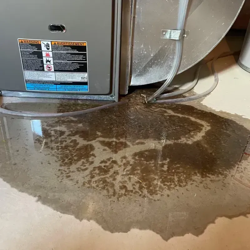 Appliance Leak Cleanup in North Salt Lake, UT